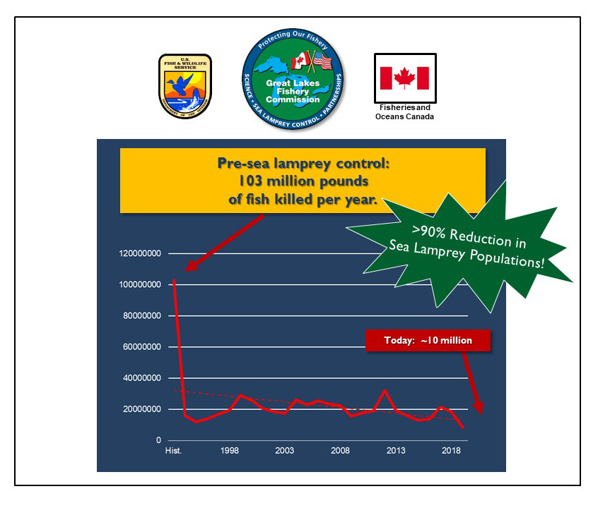 This is a line graph showing the pounds of fish killed per year by sea lamprey.  Pre-sea lamprey control (denoted as historic on the graph) 103 million pounds per year.  Today (2014) sea lamprey kill approximately 10 million pounds of fish per year, which represents a 90 percent reduction in sea lamprey populations.  Above the graph are the logos for the Great Lakes Fishery Commission, U.S. Fish and Wildlife Service and Fisheries and Oceans Canada, the partners in the sea lamprey control program.